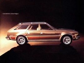 1978 AMC Concord Wagon