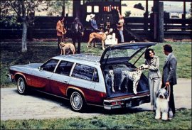 1977 Oldsmobile Cutlass Vista Cruiser