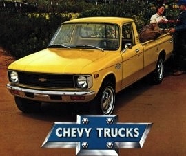 1979 Chevrolet Luv